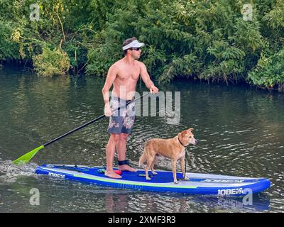 A281, Guildford. 27 luglio 2024. Un bel pomeriggio caldo e soleggiato per le contee di Home, mentre un'alta pressione ha preso piede. Paddleboarder godendosi il tempo fuori dal Weyside Pub a Guildford nel Surrey. Crediti: james jagger/Alamy Live News Foto Stock