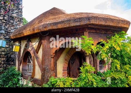 The Green Dragon Inn - nuova Zelanda Foto Stock