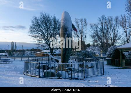 Adaminaby, nuovo Galles del Sud, Australia, 28 luglio 2024; immagini mattutine di nevicate fresche durante la notte che coprono la trota arcobaleno grande (Oncorhynchus mykiss) ad Adaminaby. Credito P.j.Hickox/Alamy Live News. Foto Stock