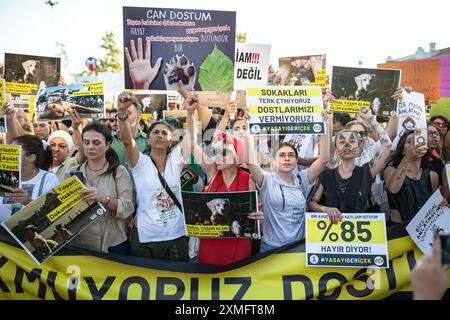 Istanbul, Turchia. 27 luglio 2024. I manifestanti tengono cartelli, striscioni che esprimono la loro opinione durante la manifestazione. Attivisti per i diritti degli animali e amanti degli animali che vogliono che la legge sugli animali randagi venga ritirata nel distretto di Kadikoy a Istanbul. Crediti: SIPA USA/Alamy Live News Foto Stock