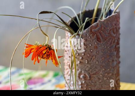 un fiore d'arancia essiccato in un vaso di argilla Foto Stock