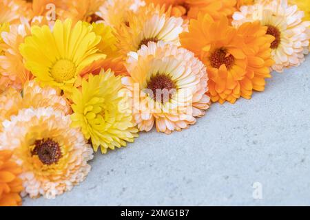 Miscela di fiori arancioni e calendule gialle su superfici in cemento. Spazio per il testo. Foto Stock