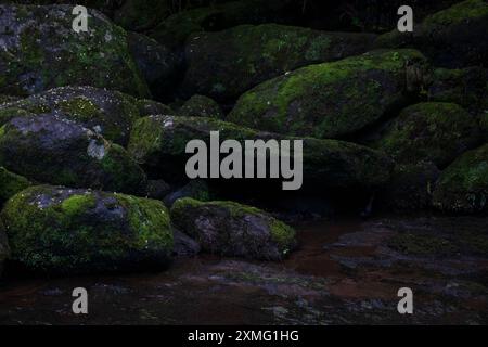 Rocce di Mossy nel letto del fiume Foto Stock