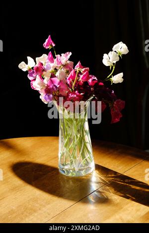 Coloratissimi piselli dolci tagliati in un vaso di vetro - John Gollop Foto Stock