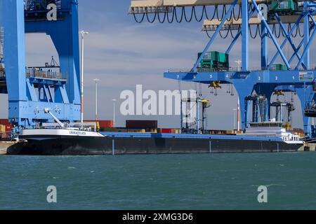 Le Havre, Francia - Vista sulla nave container interna IMMACULATA accanto al porto di le Havre con gru portacontainer da nave a terra. Foto Stock