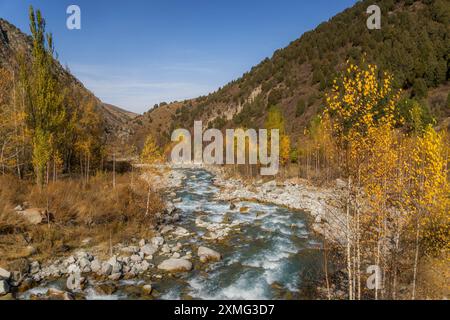 Il fiume di montagna e l'autunno colorano la natura del Kirghizistan, il Parco naturale Ala-Archa. Foto Stock