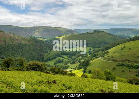 Vista dall'Horseshoe Pass, vicino a Llangollen, Denbighshire, Galles Foto Stock