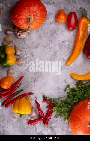 Disposizione di verdure autunnali, compresi peperoni e aglio, su uno sfondo rustico grigio Foto Stock