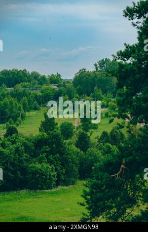 Vista panoramica di un lussureggiante paesaggio verde caratterizzato da una varietà di alberi e case lontane. Il cielo coperto aggiunge un'atmosfera serena e tranquilla al nat Foto Stock