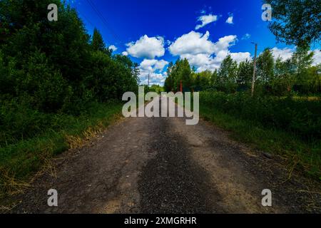 Una strada sterrata rurale si snoda attraverso una foresta verde sotto un cielo blu vibrante con nuvole bianche sparse. La lussureggiante vegetazione su entrambi i lati del sentiero A. Foto Stock