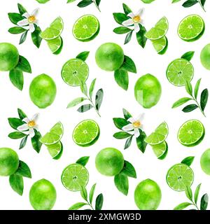 Il motivo acquerello presenta fette e foglie di lime, perfette per design freschi e agrumati Foto Stock