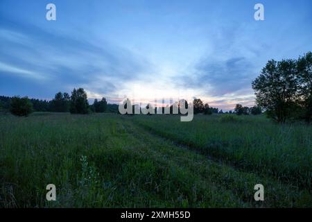 Una tranquilla scena crepuscolare caratterizzata da un campo erboso e alberi sparsi sotto un colorato cielo serale. L'illuminazione soffusa e le ombre creano un e. Foto Stock