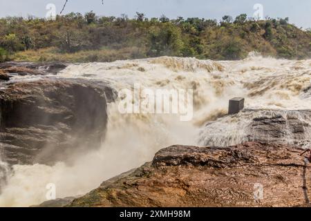 Vista delle cascate Murchison sul fiume Victoria Nile, Uganda Foto Stock