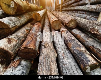 I tronchi sono ordinatamente impilati l'uno sull'altro, formando una pila Foto Stock
