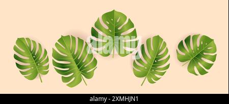 Foglie verdi di monstera su sfondo pastello tema botanico tropicale Illustrazione Vettoriale