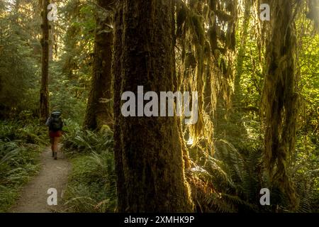 Escursioni in backpacker lungo l'Hoh River Trail nell'Olympic National Park Foto Stock