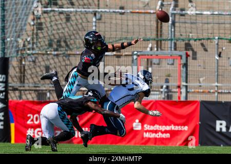 Darius Saint-Robinson (Munich Ravens #8) verteidigt einen Pass mit Junior Nkembi (Munich Ravens #19) gegen Antonio Delaria (Milano Marines #27) GER, Munich Ravens vs Milano Marines, Amerian Football, ELF, Week 4, Saison 2024, 28.07.2024, foto: Eibner-Pressefoto/Florian Wolf Foto Stock