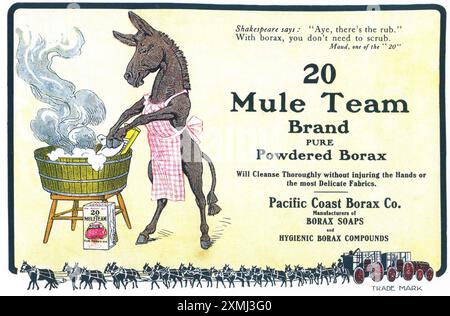 1905 20 pubblicità detergente Borax marchio Mule Team Foto Stock