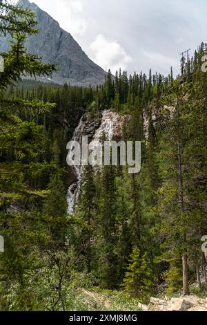 Il sentiero dei Laghi grassi si snoda a Canmore, Alberta durante l'estate con cascate che si estendono sul lato della foresta, boschi, area escursionistica selvaggia Canada Foto Stock