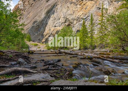 Vista sulla natura del lago di sentieri dei laghi grassi, immerso in una tranquilla natura selvaggia fuori dalla città di Canmore vicino a Kananaskis durante la stagione estiva. Foto Stock