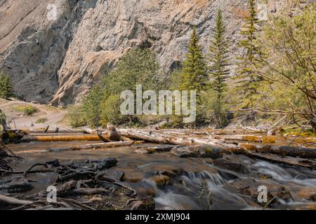 Vista sulla natura del lago di sentieri dei laghi grassi, immerso in una tranquilla natura selvaggia fuori dalla città di Canmore vicino a Kananaskis durante la stagione estiva. Foto Stock