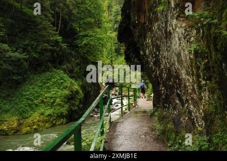 Hikingtrail attraverso il Breitachklamm a Oberstdorf, Allgäu - Germania Foto Stock