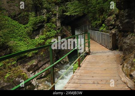 Hikingtrail attraverso il Breitachklamm a Oberstdorf, Allgäu - Germania Foto Stock