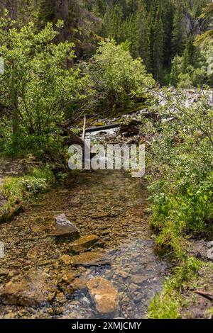 Vista sulla natura del lago di sentieri dei laghi grassi, immerso in una tranquilla natura selvaggia fuori dalla città di Canmore vicino a Kananaskis durante la stagione estiva. Foto Stock