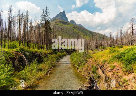 Anderson Peak nel Waterton National Park, Alberta durante l'estate, con splendide viste estive, letto incontaminato di Clear creek con magnifica vista sulla vetta. Foto Stock