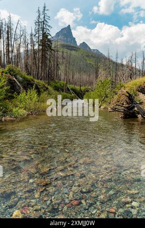 Anderson Peak nel Waterton National Park, Alberta durante l'estate, con splendide viste estive, letto incontaminato di Clear creek con magnifica vista sulla vetta. Foto Stock