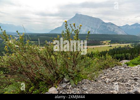 Viste mozzafiato su Banff dalle Cascade Falls nelle Montagne Rocciose canadesi durante l'estate, con incendi boschivi e foschia di fumo nell'area panoramica del paesaggio Foto Stock