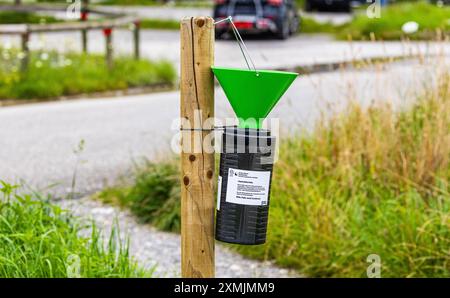 Kloten, Svizzera, 12 luglio 2024: Le autorità cantonali hanno allestito a Kloten trappole di coleottero giapponesi nella lotta contro lo scarabeo giapponese. (PH Foto Stock