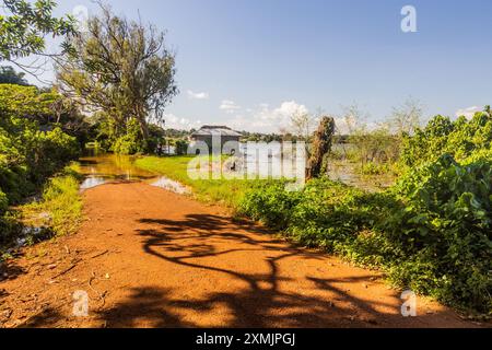 Il lago Victoria è stato visto dai giardini botanici di Entebbe, in Uganda Foto Stock