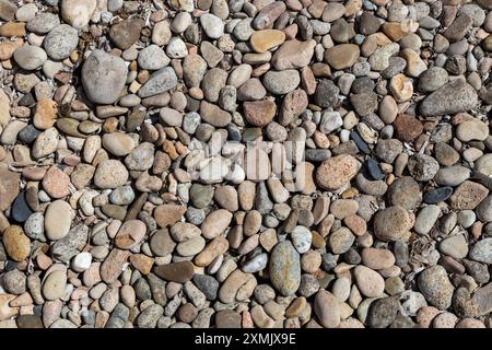 Sfondo texture Natural Pebble Beach Foto Stock