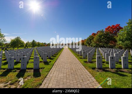 National Cemetery of Canada durante la stagione autunnale. Beechwood Cemetery, Ottawa, Ontario, Canada. Cimetière National du Canada durant la saison Foto Stock