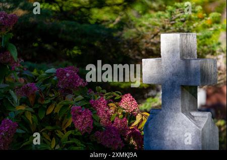 National Cemetery of Canada durante la stagione autunnale. Beechwood Cemetery, Ottawa, Ontario, Canada. Cimetière National du Canada durant la saison Foto Stock