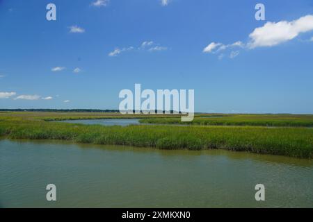 Questa accattivante fotografia cattura la tranquilla bellezza delle paludi costiere in una giornata luminosa e limpida. Le erbe verdi lussureggianti oscillano dolcemente nella breez Foto Stock