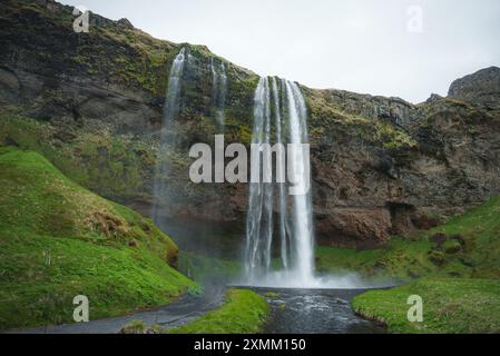 Cascata Seljalandsfoss dalla scogliera con lussureggianti dintorni verdi Foto Stock