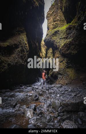 Persona in giacca arancione brillante in piedi nello stretto canyon coperto di muschio in Islanda Foto Stock