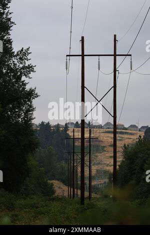 I pali dell'elettricità Foto Stock