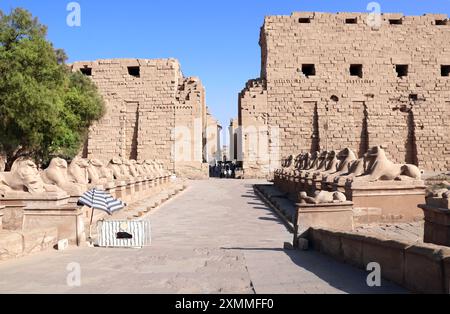 Famoso vicolo di sfingi con teste di ariete nel tempio di Karnak, Luxor. Vicolo di sfingi a testa di ariete diretti all'ingresso principale del complesso del Tempio di Karnak Foto Stock