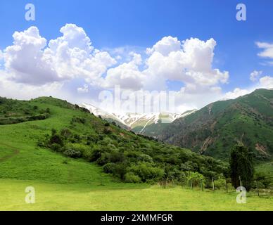 Splendido paesaggio sulle montagne Chimgan, nella regione di Tashkent. Vista aerea dell'idilliaco paesaggio montano nelle montagne occidentali di Tien Shan vicino al lago Charvak, U Foto Stock