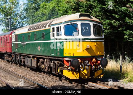 British Rail Class 33 con un tour ferroviario speciale da London Fenchurch Street a Clacton, passando per Ingatestone sulla Greater Anglia line. Diesel d'epoca Foto Stock