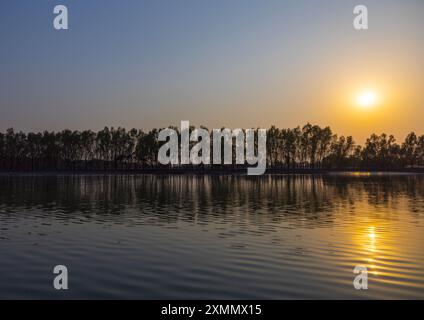 Mangrovia nel Sundarbans al tramonto, divisione Khulna, Shyamnagar, Bangladesh Foto Stock