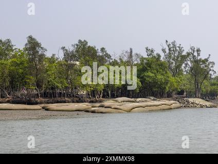 Protezione dall'erosione nei sundarbans, divisione Khulna, Shyamnagar, Bangladesh Foto Stock