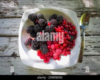 more, ribes rosso, lamponi, piatto, cucchiaio, tavola bianca in legno, frutta, Pruhonice, regione della Boemia centrale, Repubblica ceca, 29 luglio 2024. (C Foto Stock