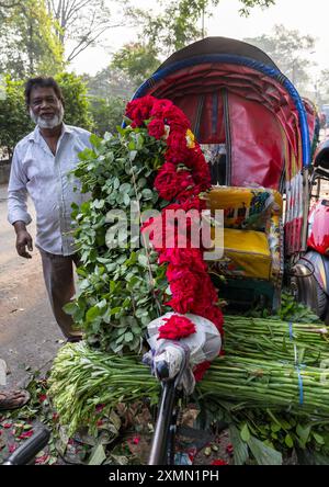 Uomo del Bangladesh che carica rose rosse su un risciò al Market, Divisione di Dhaka, Dhaka, Bangladesh Foto Stock