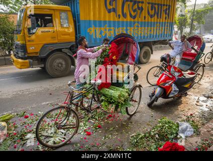 Uomo del Bangladesh che carica rose rosse su un risciò al Market, Divisione di Dhaka, Dhaka, Bangladesh Foto Stock