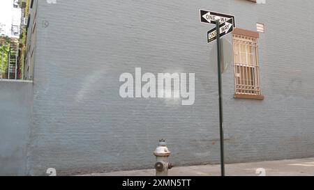 Incrocio a New York City, incrocio con Minetta Street, cartello con la freccia a senso unico. Edificio residenziale Manhattan Greenwich Village, New York, Stati Uniti. Muro di mattoni blu, idrante di fuoco. Foto Stock