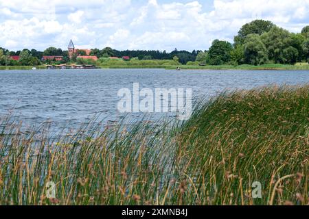 Krakower Seenlandschaft, Blick zur Kirche Serrahn, Landkreis Rostock, Meclemburgo-Vorpommern, 28.07.2024 SEE in Meclemburgo-Vorpommern *** Cracovia Lakeland, veduta della chiesa di Serrahn, distretto di Rostock, Meclemburgo-Pomerania occidentale, 28 07 2024 Lago in Meclemburgo-Pomerania occidentale 20240728-DSC 3384 Foto Stock